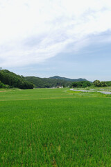 里山の田園風景