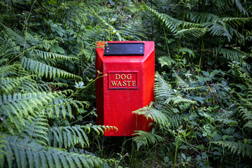 A dog waste bin in the Sussex countryside, surrounded by ferns