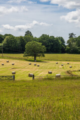 Obraz premium Hay bales in the Sussex countryside on a sunny summer's day
