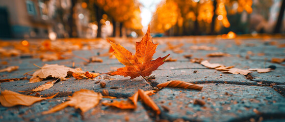 Autumn leaves on the ground in the park. Autumn background.