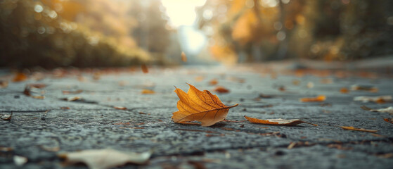 Autumn maple leaf on a cobblestone pavement in the city