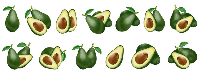 collection of illustration avocado isolated, group of painting avocado.
