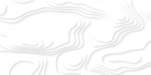 abstract background vector illustration 3d papercut wave line pattern background. white and gray luxury grid topography map and satin smooth wallpaper matt paper light texture.