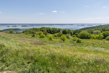 Naklejka premium High river bank with high grass on foreground in summer