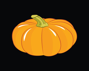 Illustration of an orange pumkin