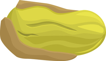 Pistachio nut with open shell lying horizontally isolated on white background