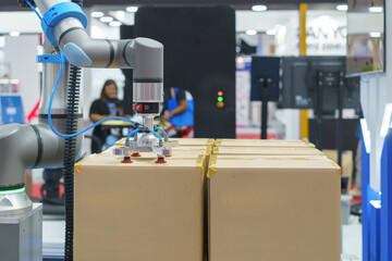 Automated Robotic Packing System