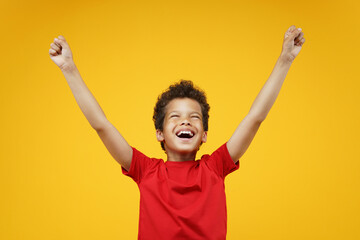 Portrait of euphoric happy kid boy having fun holding his hands up with clenched fists celebrating...
