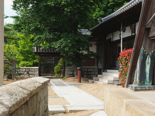 日本の寺の庭。本堂前。
画面奥は住居。