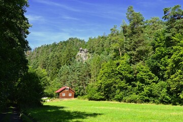 Beautiful nature with forest and rocks in the Jihlava river valley. Landscape on a summer day Czech Republic - Europe.