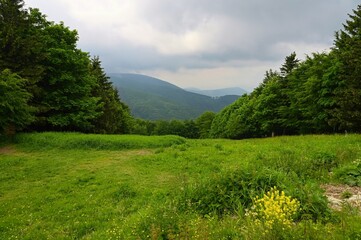 Landscape in Beskydy mountain, Czech republic, Europe. Forest and green nature.