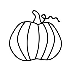 Hand drawn illustration of autumn pumpkin. 