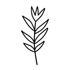 Autumn branch isolated on a white background.	
