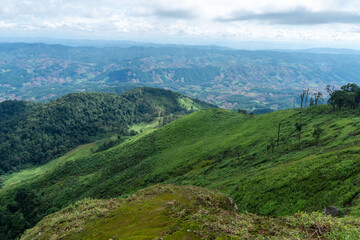 Naklejka premium A lush green mountain meadow unfolds beneath a dramatic cloudy sky, with snow-capped peaks rising in the distance