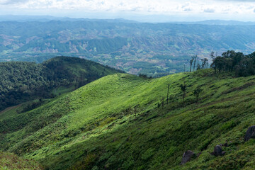 Fototapeta premium Lush green tea plantations carpet rolling hills beneath a dramatic cloudy sky in this stunning mountain landscape