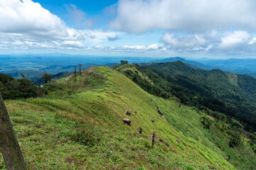 Fototapeta premium A scenic summer landscape unfolds beneath a vast blue sky with fluffy white clouds, showcasing majestic mountains, verdant meadows, and rolling green hills