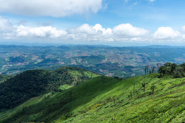 Naklejka premium A scenic summer landscape with green mountains reaching towards a cloudy sky