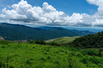 Panoramic summer landscape unfolds across a valley, with snow-capped alpine peaks rising above green meadows and forests