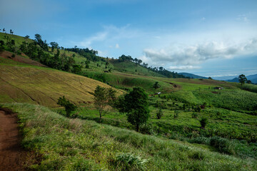 Sure, here is a sentence describing a landscape using your chosen words:  A summery mountain view with green hills and fluffy clouds