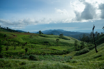 Lush green rice terraces climb like staircases on a mountainous island under a bright summer sky