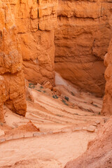 Narrow Path Between Bryce Canyon's Hoodoos