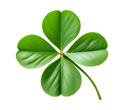 Four Leaf Clover on Green Background