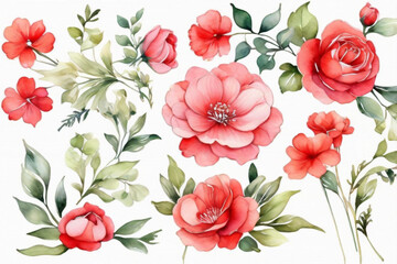 Watercolor Bouquet of flowers, isolated, white background, red roses and green leaves