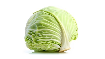 Fototapeta premium Cabbage on white background