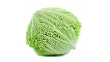 Fototapeta premium Cabbage on white background