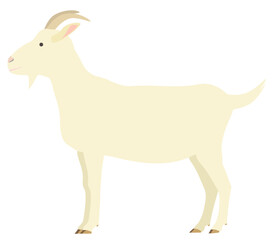 Clip art of white goat seen from the side