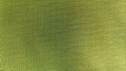 Feld mit parallelen Spuren © Markus