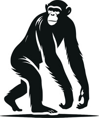 Fototapeta premium A Chimpanzee silhouette vector Art style with white background