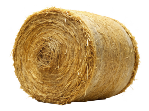 Round Hay Bale showcasing a large cylindrical shape made of dried grass, perfect for agricultural and farm settings. Isolated on transparent background, png.