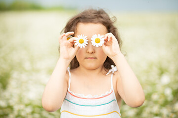 Cute little child girl at field picking flowers and hiding eyes with chamomile flowers