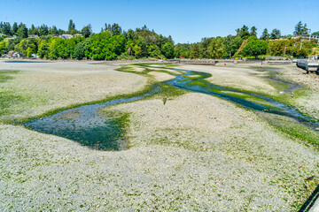 Des Moines Pier Creek