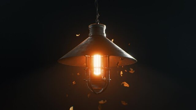 Moths fly around an old lamp, Loop animation