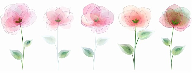 flores de acuerela. fondo blanco