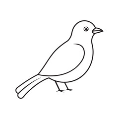 Elegant Line Art Bird Vector Illustrations.