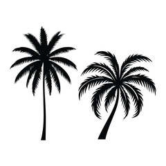Palm Tree Silhouette, Silhouette Palm Tree. Black palm trees set isolated on white background.