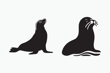 Seal animal vector art