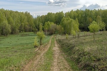 Obraz premium Forest dirt road in spring