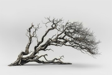 A tree without leaves or branches, often used as a symbol of lifelessness or decay