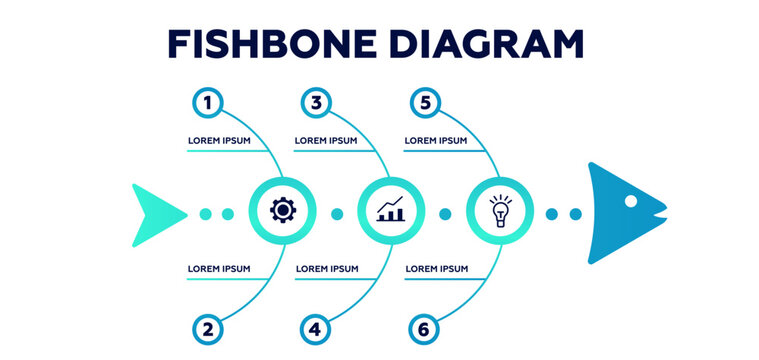 Fishbone diagram. Marketing presentation strategy and business management design information with analysis of plans and reports for vector clients