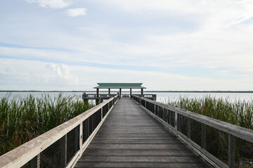 Fototapeta premium The boardwalk and dock in Lake Trafford in South Florida. A large lake with alligators and lots of wildlife and fishing.