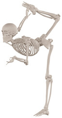skeleton posing 3d render illustration with transparent background
