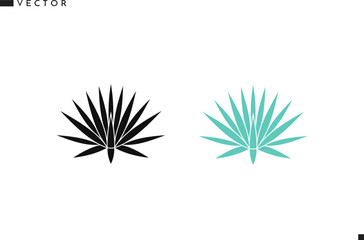 Obraz premium Abstract agave. Succulent plant vector 