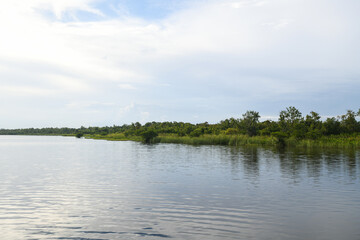 Lake Trafford in South Florida. A large lake with alligators and lots of wildlife and fishing.