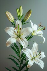 Fototapeta premium A bouquet of white flowers in a decorative vase, suitable for interior design or floral arrangements