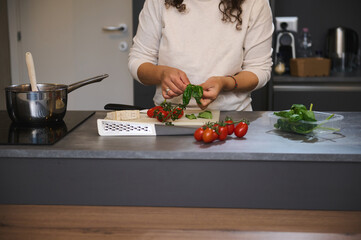 Close-up woman holding fresh washed basil leaf, preparing healthy salad. We can see a bunch of healthy cherry tomato nd a piece of parmesan chees on the kitchen countertop. People. Food. Lifestyle