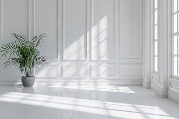 empty room with white wall and window shadow on the floor